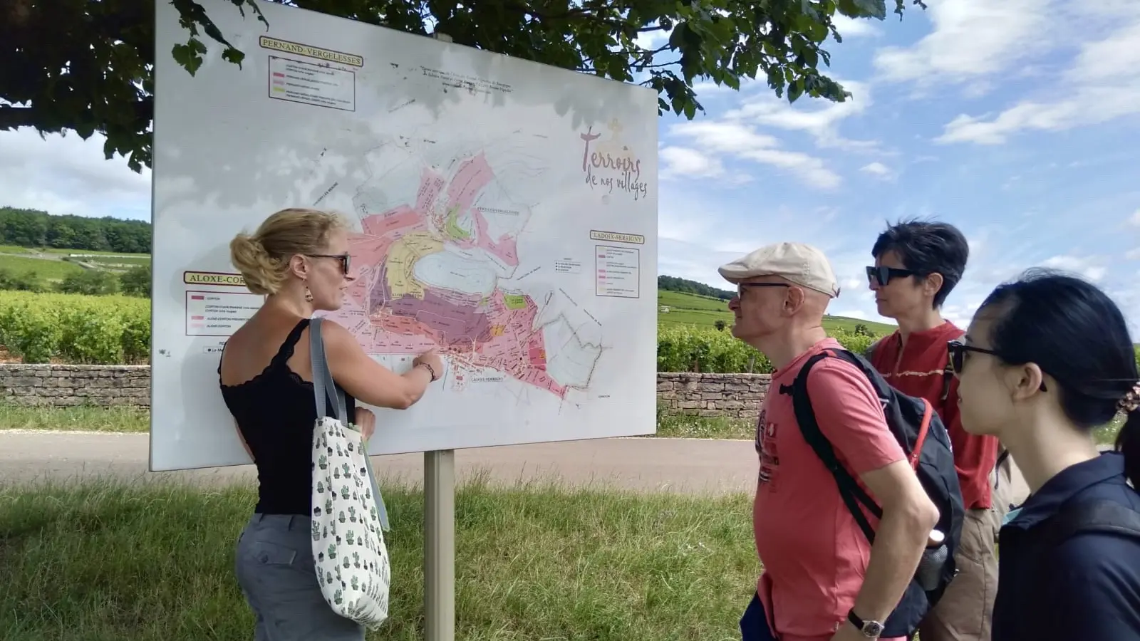 Aloxe-Corton et la colline des grands crus