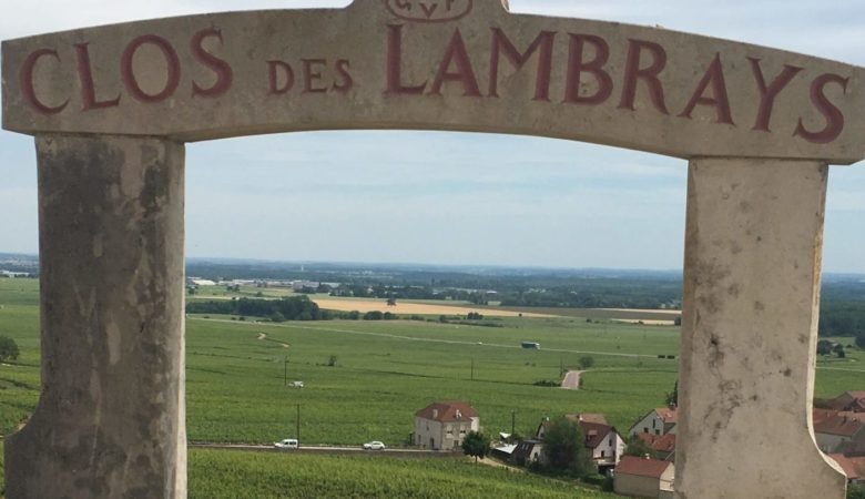 View over the Burgundy vineyard